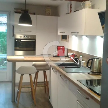 בית נופש Belle 6 Pers A 300m De La Avec Jardin, Terrasse Et Veranda - - Fr-1-357-257 סן-ונסן-סור-ז'אר